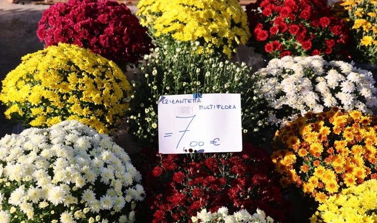 Pojačani nadzor prodaje cvijeća