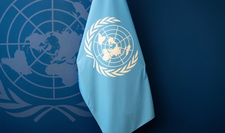 Ujedinjeni narodi