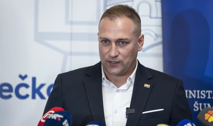 David Vlajčić