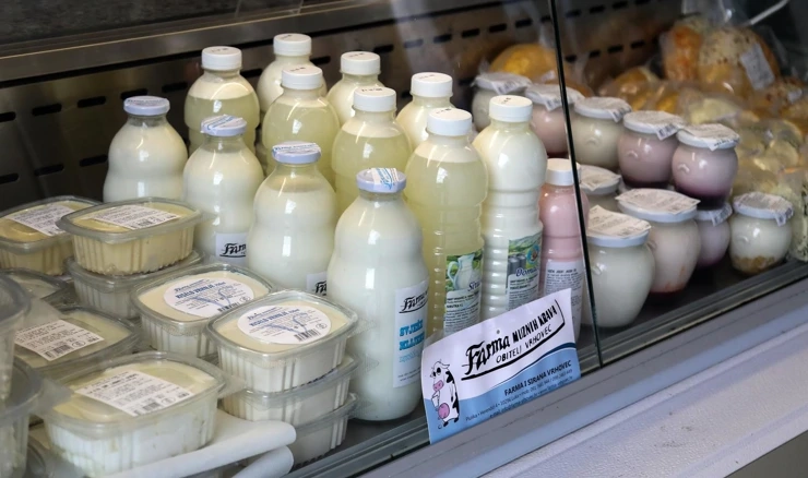 Ilustracija, mliječni proizvodi