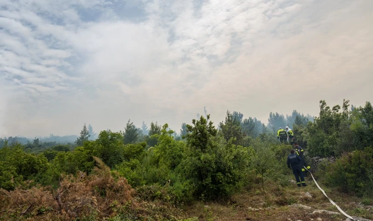 Vatrogasci gase požar na području Konavala