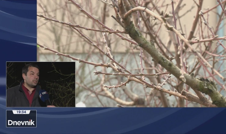 Goran Fruk, Agronomski fakultet Sveučilišta u Zagrebu 