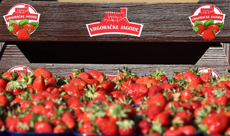 Stigle vrgoračke jagode