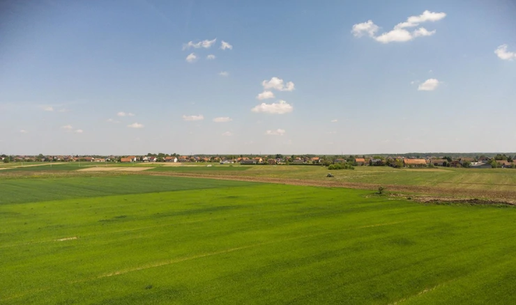 Poljoprivredna površina 