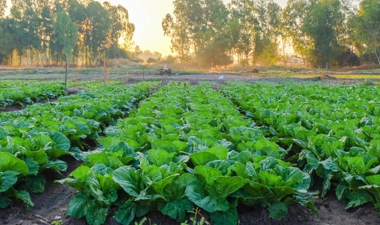 Hrana je pitanje sigurnosti države