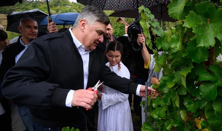 Zoran Milanović