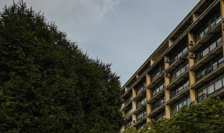 Sivilo zgrade uljepšano krošnjom drveta
