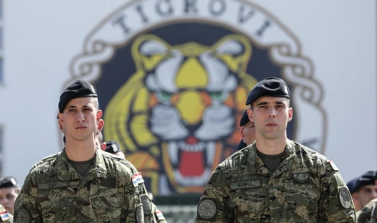 1. gardijska brigada Tigrovi