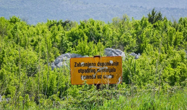 Sumnja se da su obojica osumnjičenika pustošila šume uklanjanjem vegetacije