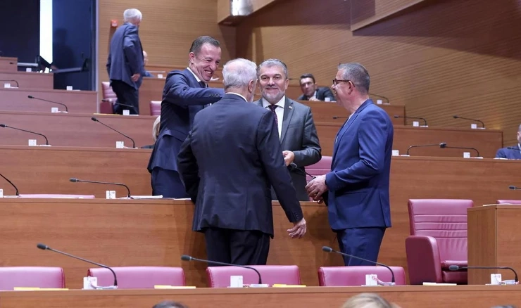 Zastupnici u Saboru