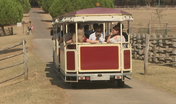 Velik broj turista