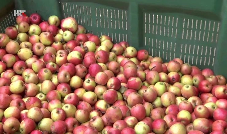 Proizvođači upozoravaju na stare, uvozne jabuke 