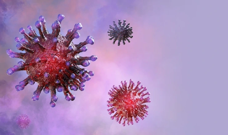 Koronavirus u Hrvatskoj 