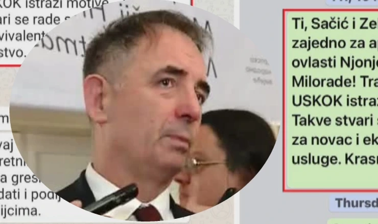 Milorad Pupovac