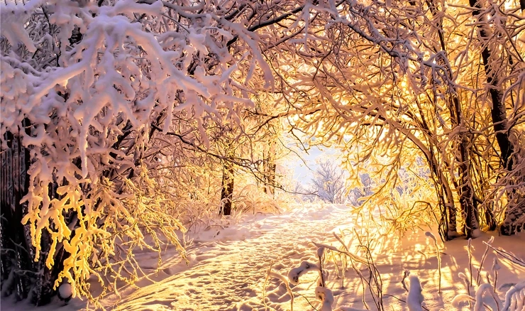 Zima će vjerojatno biti iznadprosječno topla