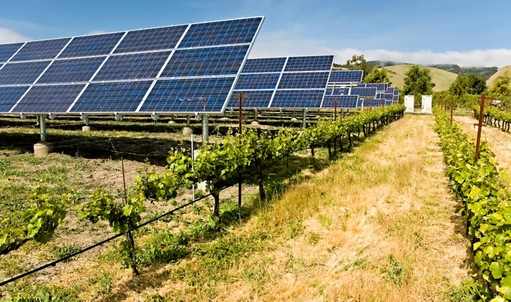 Agrosolari mogu ublažiti i utjecaj klimatskih promjena