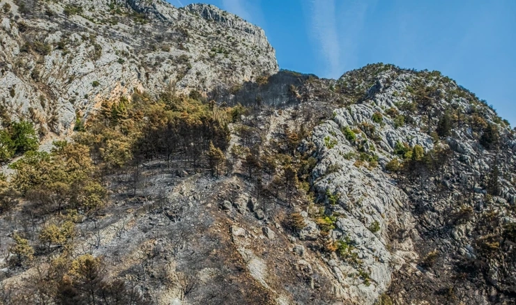 Posljedice požara u mjestu Borak iznad Omiša 