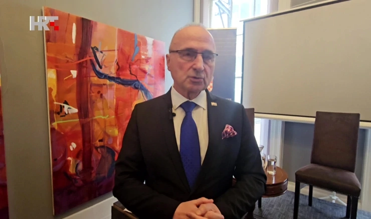 Gordan Grlić Radman