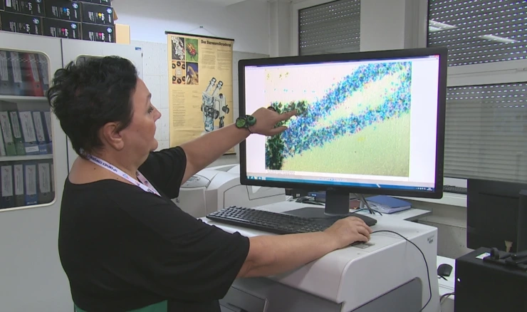 Vještaci za rukopise