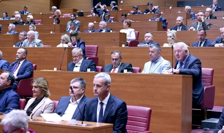 Zastupnici u Saboru