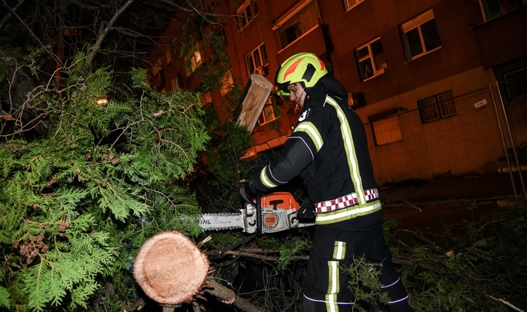 Jak vjetar srušio je stablo u Savskoj