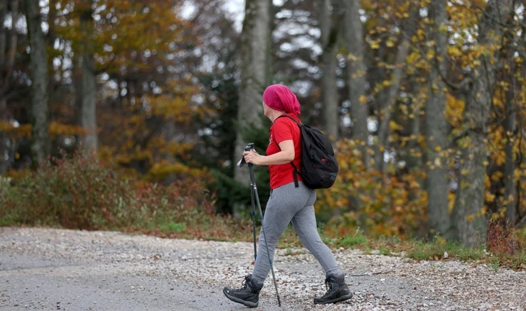 Planinarenje na Medvednici