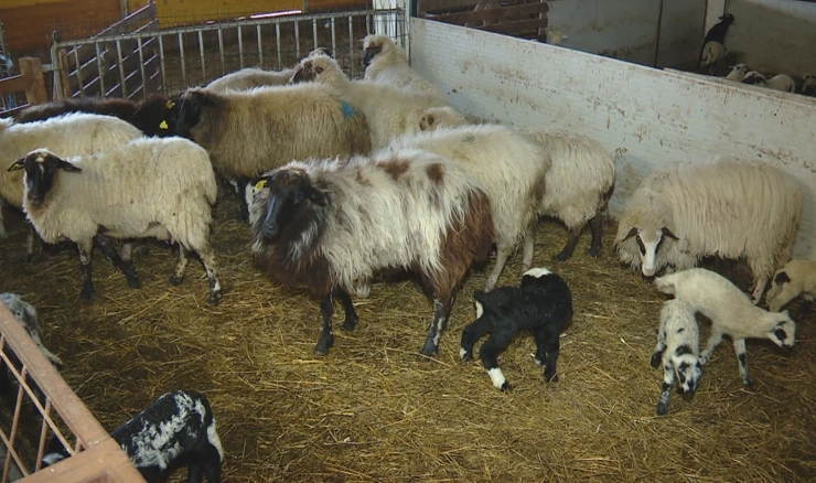 Potpore poljoprivrednicima
