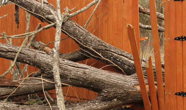 Slovenija: Više od 300 intervencija zbog nevremena