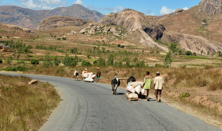 Glad zavladala Madagaskarom