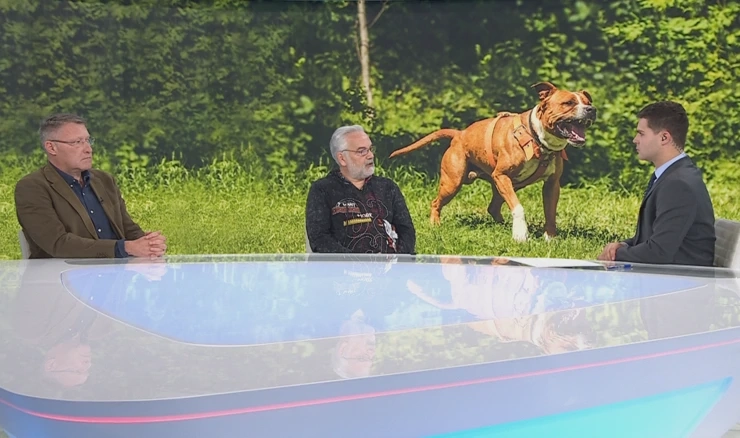 Ercegović i Skok
