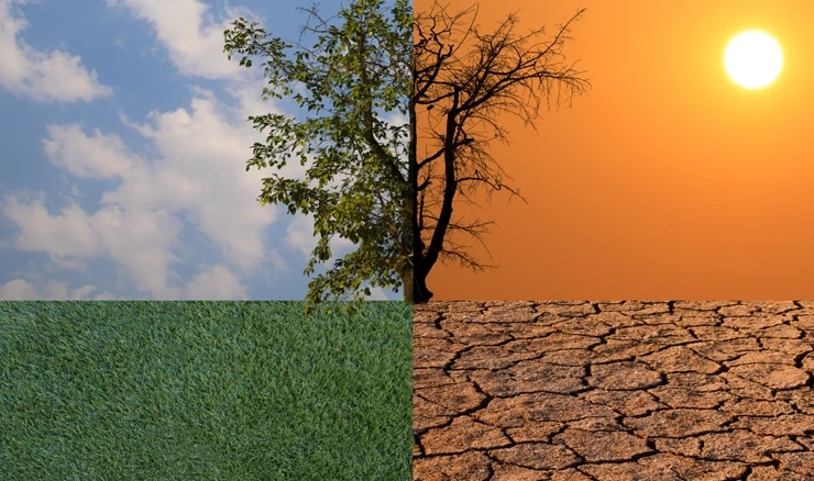 Učinci klimatskih promjena