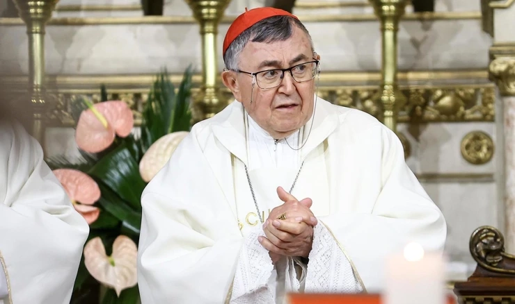 Kardinal Vinko Puljić