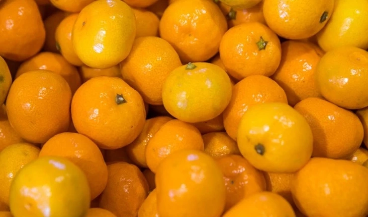 Mandarina