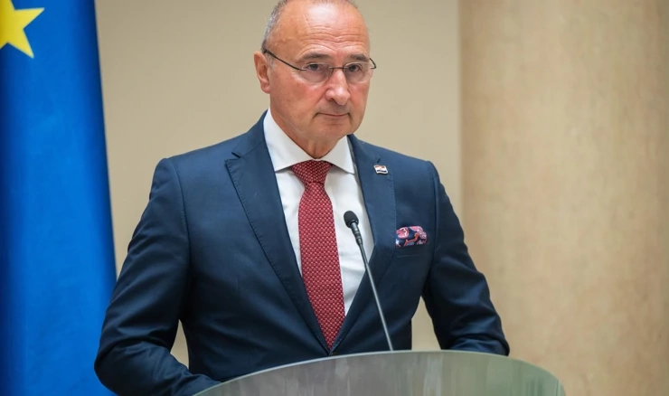 Gordan Grlić Radman 