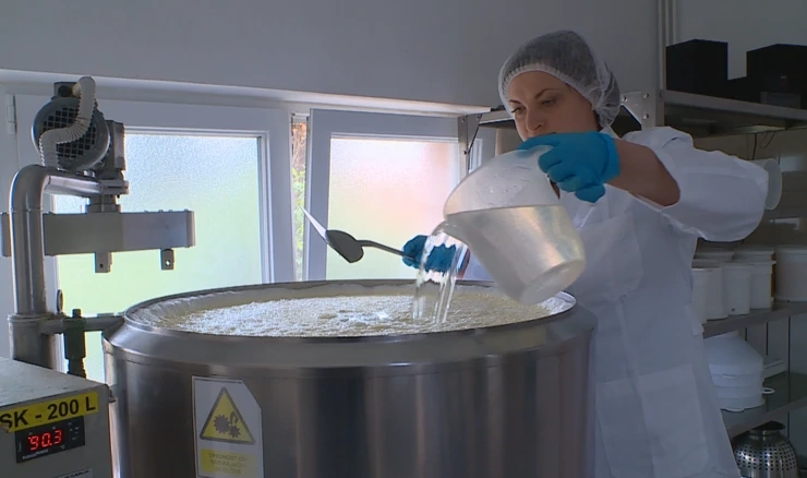 Proizvođača mlijeka u Hrvatskoj je sve manje