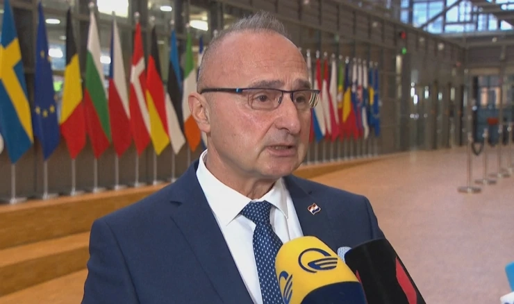 Gordan Grlić Radman