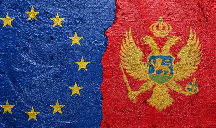 Eurozastupnici pozvali Crnu Goru da što prije formira proeuropsku vladu