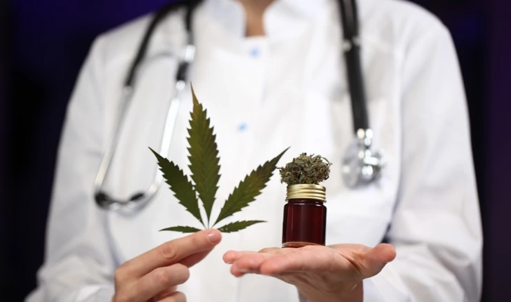 Medicinska marihuana -  ilustracija