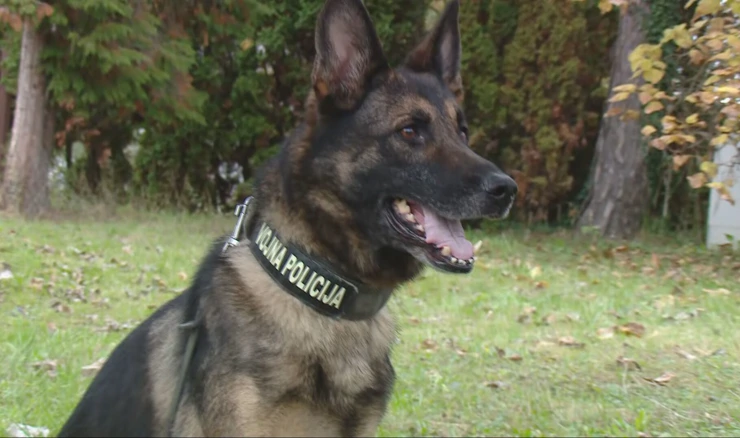 K9 Forum okupio elitne timove vojno-radnih pasa i njihovih vodiča