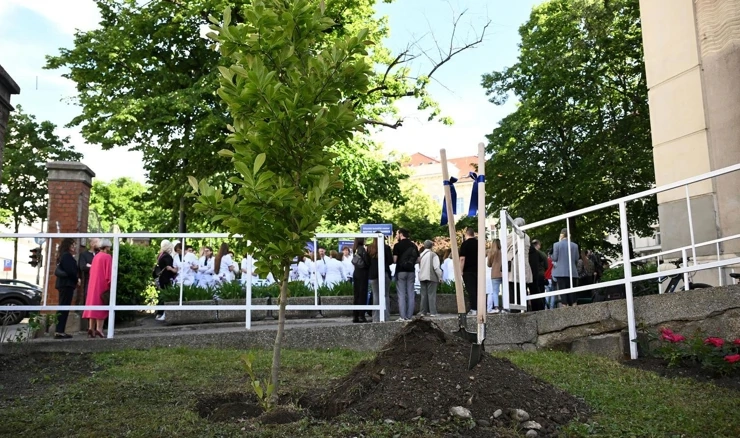 Obilježen Međunarodni dan sestrinstva simboličnom sadnjom magnolije