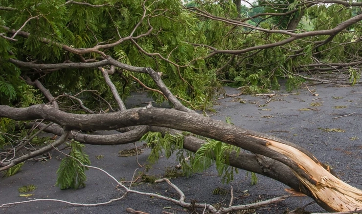 Jake kiše i razorni vjetrov pogodili Sydney