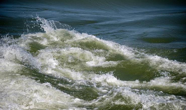 Svjetski dan voda