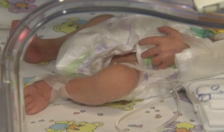 Palčići, ilustracija