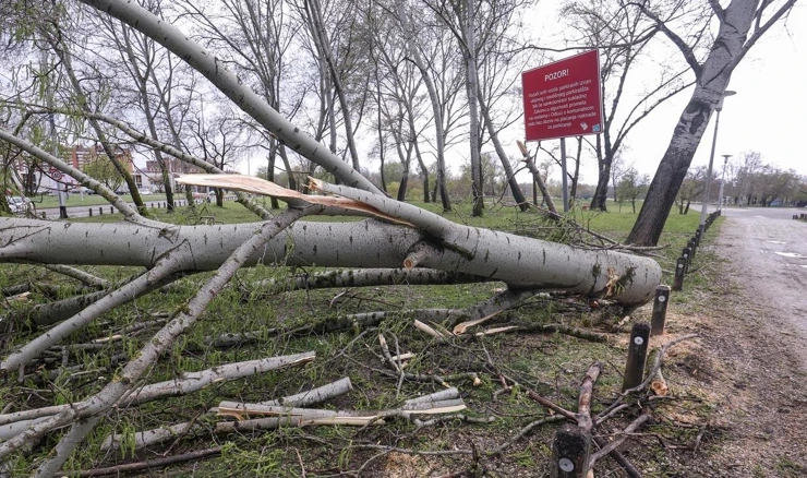 Stabla stradala u nevremenu