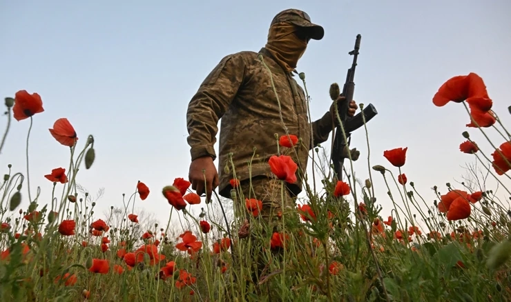 Ukrajinski vojnik u polju maka, Zaporiška oblast